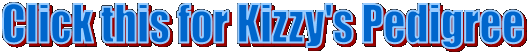 Click this for Kizzy's Pedigree